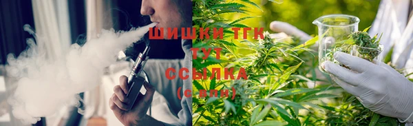 ешки Аркадак