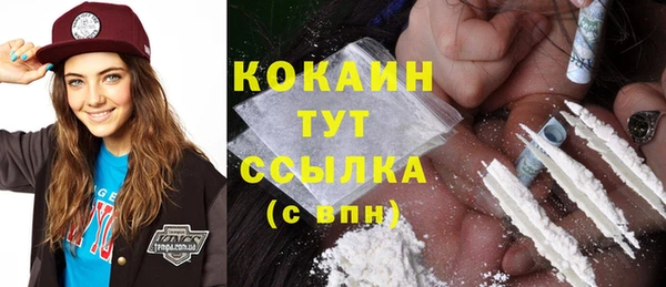 мдпв Аша