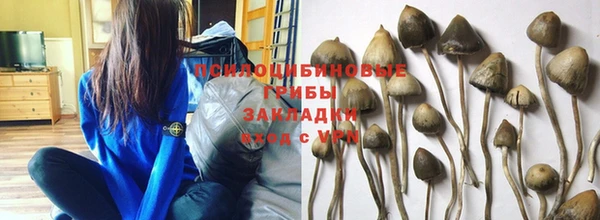 a pvp Бабаево