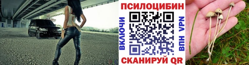 Галлюциногенные грибы мухоморы  магазин продажи   Железногорск-Илимский 